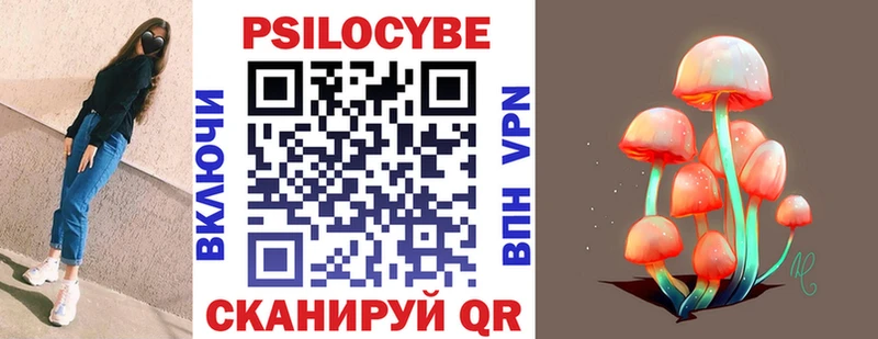 shop какой сайт  Баксан  Галлюциногенные грибы Magic Shrooms 